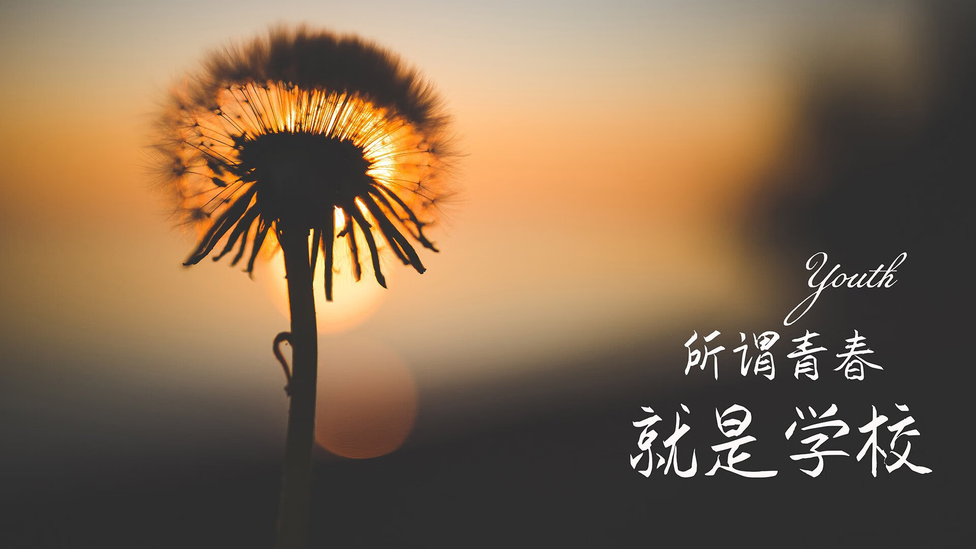 逆转“神话”背后的战术奇迹，逆转神话怎么搭配