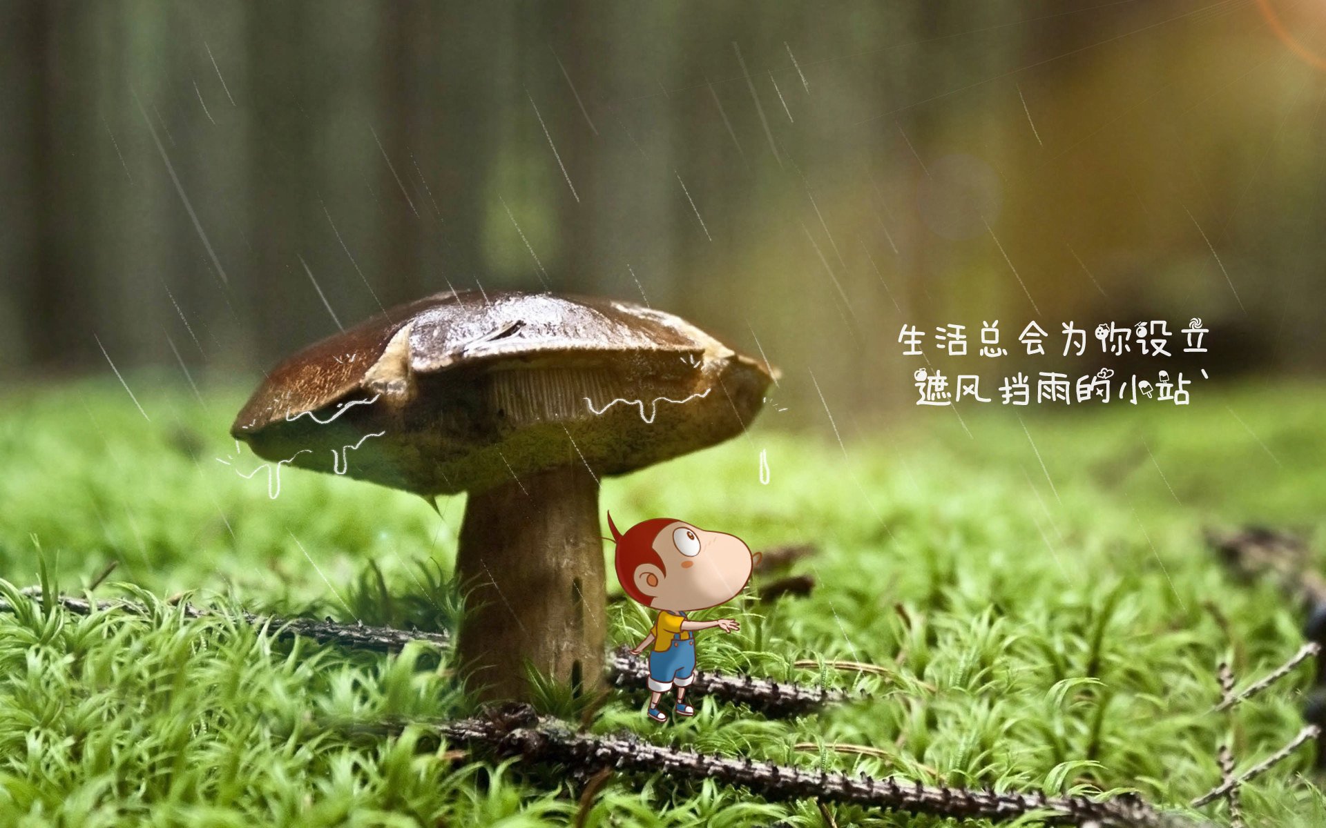 九游9游-赛场回顾：澳大利亚队在国际乒联混合团体世界杯的表现评析，国际乒联世界巡回赛澳大利亚公开赛